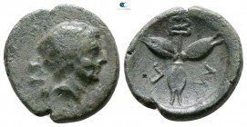 Lucania. Metapontion 225-200 BC. Bronze Æ