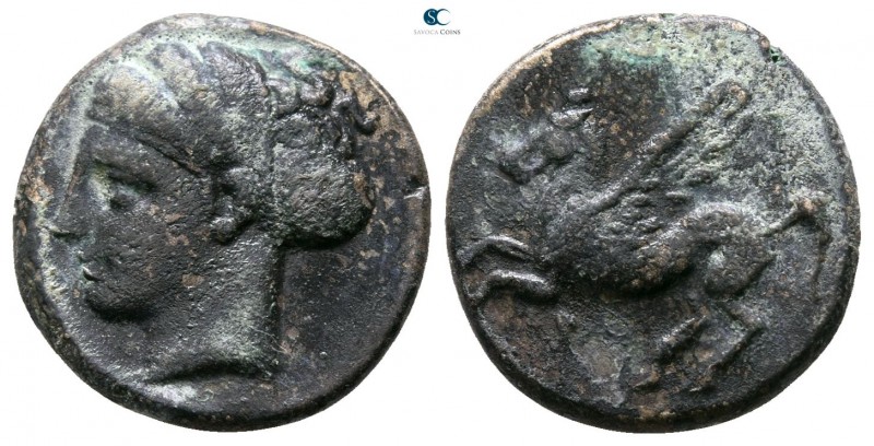 Sicily. Syracuse circa 344-317 BC. 
Bronze Æ

14mm., 2,63g.



very fine