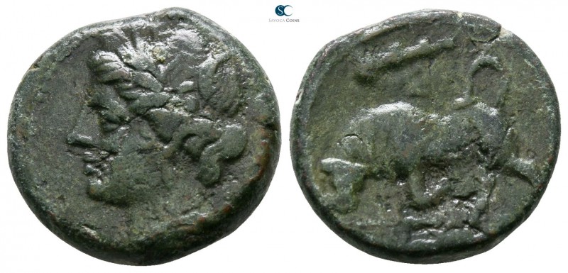 Sicily. Syracuse. Hieron II 275-215 BC. 
Bronze Æ

16mm., 4,53g.



nearl...