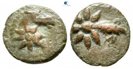 Pontos. Amisos 130-100 BC. Bronze Æ