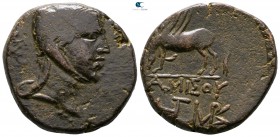 Pontos. Amisos circa 85-65 BC. Bronze Æ