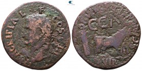 Hispania. Colonia Caesaraugusta. Agrippa I AD 37-43. Bronze Æ