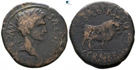 Hispania. Taracconensis. Augustus 27 BC-AD 14. Bronze Æ