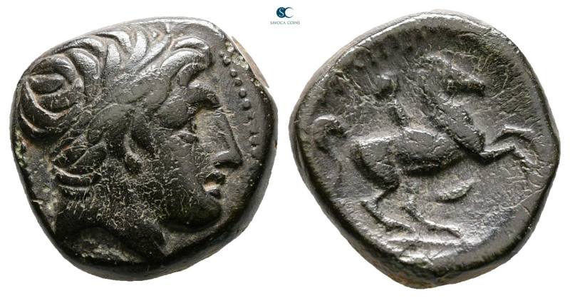 Kings of Macedon. Uncertain mint. Philip II of Macedon 359-336 BC. 
Bronze Æ
...