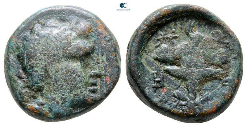 Asia Minor. Uncertain mint circa 300 BC. 
Bronze Æ

17 mm, 5,07 g



Very...