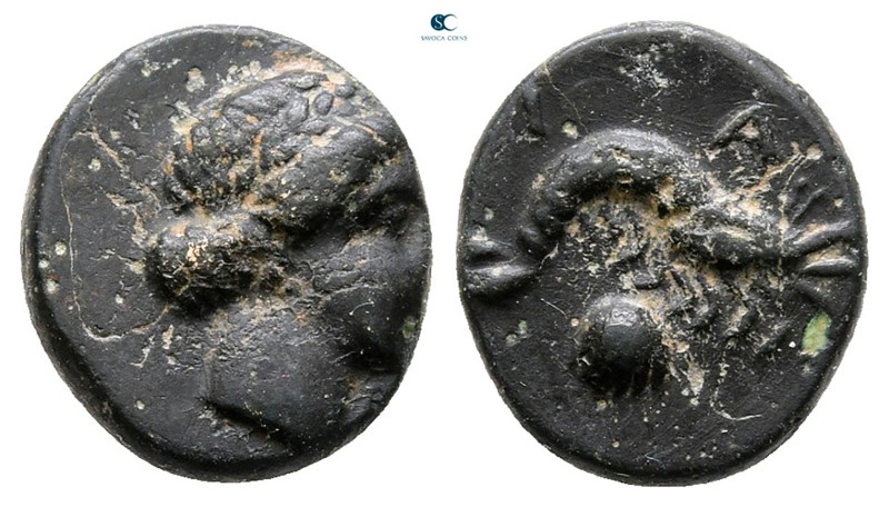 Mysia. Priapos circa 300-200 BC. 
Bronze Æ

11 mm, 1,28 g



Very Fine