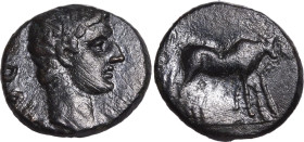 ROMAN PROVINCIAL. MACEDON, PHILIPPI(?). Augustus. 
Bronze ae17, 27 BC - AD 14. 
Obv: AVG, bare head right. Rev: two priests ploughing right.
Good V...