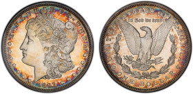UNITED STATES: AR dollar, 1893, KM-110, Morgan type, mintage of only 792 coins, a superb proof quality example with light peripheral toning! PCGS grad...