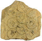 WESTERN HAN: Anonymous, 113-49 BC, clay coin mold, H-8.8ff, a single 106 x 109mm fragment of mold for wu zhu coins, housed in a very nice custom-made,...