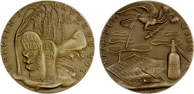 GERMANY: Weimar Republic, AE medal (74.09g), 1920, Kienast-283, 60mm cast bronze medal on the Secession of Eupen and Malmedy to Belgium (despite the p...