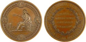 UNITED STATES: AE medal, 1876, Julian-AM-10, Forrer-VII, 507, 76mm bronze award medal for the International Centennial Exhibition by H. Mitchell, Indu...