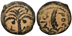 JUDAEA, Procurators. Marcus Ambibulus, 9-12. Prutah (bronze, 2.13 g, 17 mm), Jerusalem. Ear of grain curved to the right. Rev- Palm tree with dates; L...