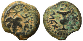 JUDAEA. First Jewish War, 66-70 AD. Prutah (bronze, 3.41 g, 17 mm). Amphora. Rev. Vine leaf on branch with tendril. Hendin 1360; Meshorer 196. Nearly ...