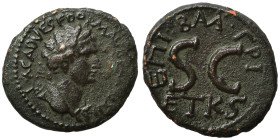 JUDAEA. Herodians. Agrippa II, with Domitian, 49/50-94/95 . Semis (bronze, 4.74 g, 20 mm), Rome mint. IM CA D VES F DOM AV GER COS XII Laureate bust o...
