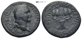 Phrygia, Apameia. Vespasian. A.D. 69-79. AE 11.32 Gr. 27mm.
 Laureate head of Vespasian right 
Rev. Bundle of five ears of grain, tied together.