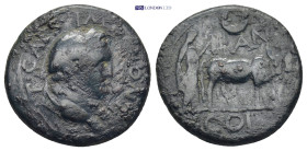 Pisidia, Antioch Titus (Caesar, 69-79) AE. 6.72 Gr. 21mm.
Laureate head right.
 Rev. Priest holding vexillum and plowing with yoke of oxen right; cres...