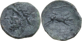 Greek Italy. Northern Apulia, Arpi. AE Unit, c. 325-275 BC. Obv. Laureate head of Zeus left; behind, thunderbolt. Rev. Wild boar right; above, spearhe...