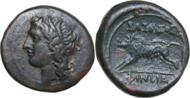 Sicily. Akragas. Phintias (Tyrant, 287-279 BC). AE 22 mm. c. 282-279 BC. Obv. Wreathed head of Apollo (or Akragas) left. Rev. BAΣIΛEOΣ/ΦINTIA. Boar ch...
