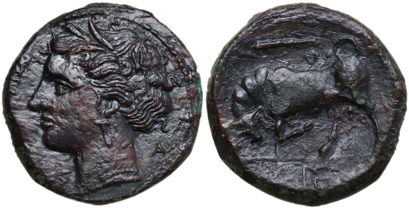 Sicily. Syracuse. Hieron II (275-215 BC). AE 19 mm, c. 275-269 BC. Obv. [ΣYPAKOΣ...