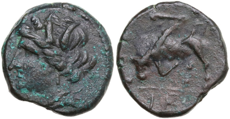 Sicily. Syracuse. Hieron II (275-215 BC). AE 17 mm, c. 275-269 BC. Obv. [ΣYPAKOΣ...