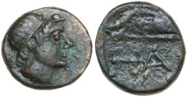 Continental Greece. Cimmerian Bosporos, Pantikapaion. AE 11mm, 200-150 BC. Obv. Laureate head of Apollo right. Rev. Bow in a bow-case; below, ΠΑΝ. HGC...