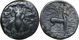 Greek Asia. Ionia, Ephesos. AE 18 mm, 202-133 BC. Obv. Bee within wreath. Rev. Stag standing right in front of tree; to right, monogram ΣΩ. SNG Cop. 2...