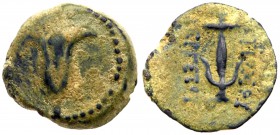 Seleukid Kingdom. Antiochos VII Euergetes. &AElig; (2.36 g), 138-129 BC. Jerusalem, under John Hyrcanus I, uncertain date (132/1-131/0 BC). Lily. Rev....