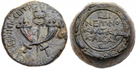 Judaea, Herodian Kingdom. Agrippa II. Galilaea, Sepphoris. Pseudo-autonomous issue. &AElig; (17.15 g), 1st century AD CY 14 (AD 67/8). Vespasian, proc...