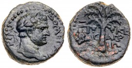 Judaea, Herodian Kingdom. Agrippa II. &AElig; (3.90 g), 56-95 CE. Caesarea Maritima, RY 25 of Agrippa II's second era (84/5 CE). Laureate head of Domi...