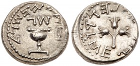 Judaea, The Jewish War. Silver 1/2 Shekel (6.72 g), 66-70 CE. Jerusalem, year 3 (68/9 CE). 'Half of a shekel' (Paleo-Hebrew), ritual chalice with pear...