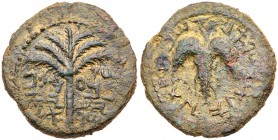 Judaea, Bar Kokhba Revolt. &AElig; Medium Bronze (11.23 g), 132-135 CE. Year 1 (132/3 CE). 'Simon, Prince of Israel' (Paleo-Hebrew), seven-branched pa...