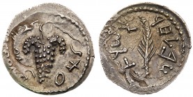 Judaea, Bar Kokhba Revolt. Silver Zuz (3.17 g), 132-135 CE. Year 2 (133/4 CE). 'Simon', bunch of grapes with leaf and tendril. Rev. 'Year two of the f...