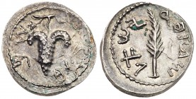 Judaea, Bar Kokhba Revolt. Silver Zuz (3.21 g), 132-135 CE. Year 2 (133/4 CE). 'Simon', bunch of grapes with leaf and tendril. Rev. 'Year two of the f...