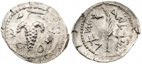 Judaea, Bar Kokhba Revolt. Silver Zuz (3.40 g), 132-135 CE. Year 2 (133/4 CE). 'Simon', bunch of grapes with leaf and tendril. Rev. 'Year two of the f...