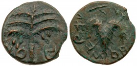 Judaea, Bar Kokhba Revolt. &AElig; Medium Bronze (12.49 g), 132-135 CE. Irregular issue. Year 2 (133/4 CE). 'Simon' (Paleo-Hebrew; retrograde), seven-...