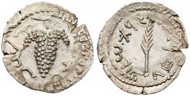 Judaea, Bar Kokhba Revolt. Silver Zuz (3.23 g), 132-135 CE. Undated, attributed to year 3 (134/5 CE). 'Simon' (Paleo-Hebrew), bunch of grapes with lea...