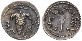Judaea, Bar Kokhba Revolt. Silver Zuz (2.99 g), 132-135 CE. Undated, attributed to year 3 (134/5 CE). 'Simon' (Paleo-Hebrew), bunch of grapes with lea...