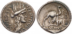 Jewish Reference Coinage, A. Plautius. Silver Denarius (4.00 g), 55 BC. Rome. A PLAVTIVS AED CVR S C, turreted head of Cybele right. Rev. BACCHIVS in ...