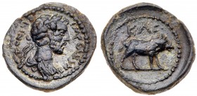 Judaea, Aelia Capitolina (Jerusalem). Antoninus Pius. &AElig; (3.39 g), AD 138-161. Laureate and draped bust of Antoninus Pius right. Rev. Boar standi...
