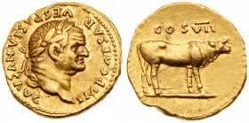 Vespasian. Gold Aureus (7.46 g, 6h), AD 69-79. Mint of Rome, A.D. 76. IMP CAESAR VESPASIANVS AVG, laureate head facing right. Rev. COS VII, heifer wal...