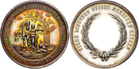 Franz Joseph I., Medal ND (19th century)