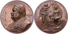 Dr. Karl Lind, Medal 1891, Pawlik