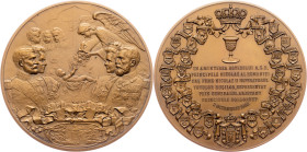 Carol I., Medal 1903, Carniol Fiul