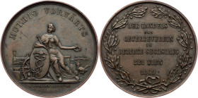 Austria-Hungary, Medal 1869, Pittner A.