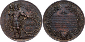 Austria-Hungary, Medal 1874