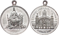 Austria-Hungary, Medal 1891, Fritsche/Thein
