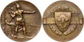 Austria-Hungary, Medal 1905, Schaefer