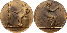 Czechoslovakia, Medal 1924, Šejnost J.