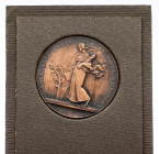 Czechoslovakia, Medal 1925, Odehnal A.