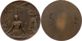 Czechoslovakia, Medal 1931, Anýž F./Brůha J,